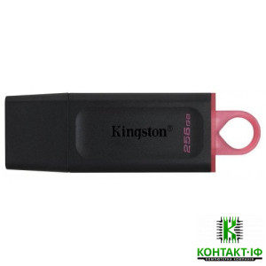 Kingston DataTraveler Exodia 256GB USB 3.2 Gen 1 Black (DTX/256GB)