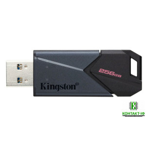 Kingston DataTraveler Exodia Onyx 256GB USB 3.2 Gen 1 Black (DTXON/256GB)