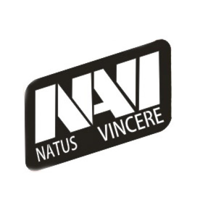 Наклейка CS:GO Natus Vincere NAVI (Na'Vi) Silver Metal 5x3cm